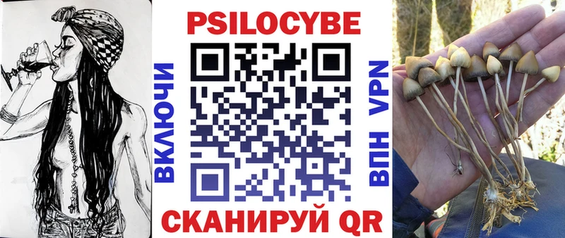 Галлюциногенные грибы Magic Shrooms  Купить где  Гагарин 